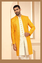 Indo Western with Pants 6397